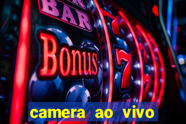 camera ao vivo terminal vila nova cachoeirinha